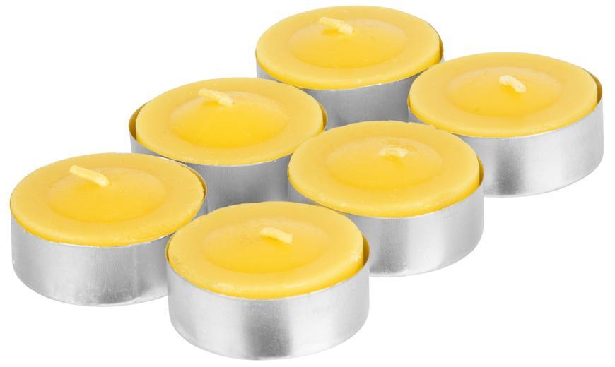 Svieka Citronella C-151, ajovka, lt, bal. 6 ks