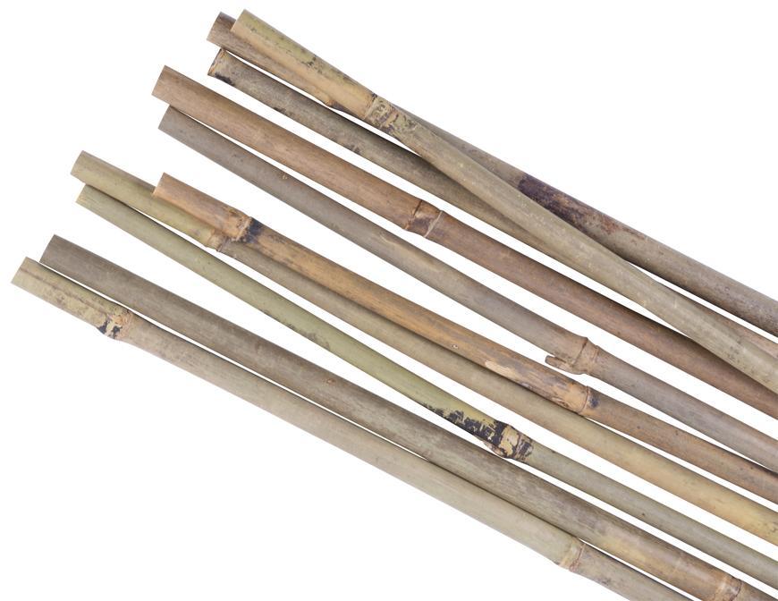 Tyč Garden KBT 1500/16-18 mm, 10 ks, bambus, oporná k rastlinám