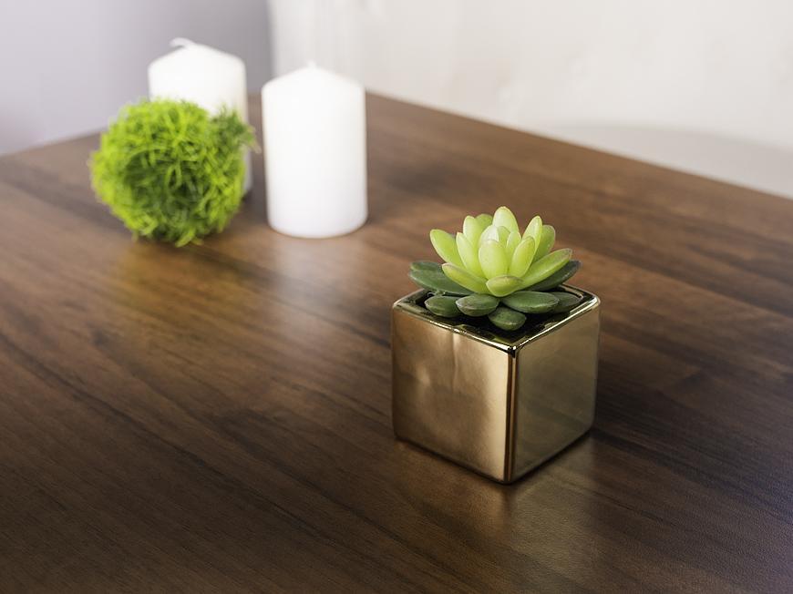 Sukulent MagicHome SA3905, 15 cm, repnk- keramika, zlat