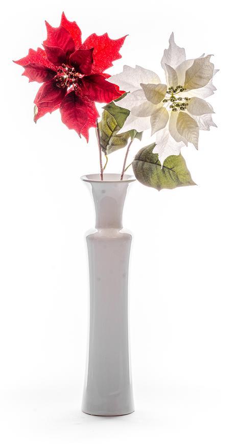 Kvet MagicHome Vianoce Poinsettia, krémová, stonka,veľkosť kvetu: 23 cm, dĺžka kvetu: 75 cm, bal. 12 ks