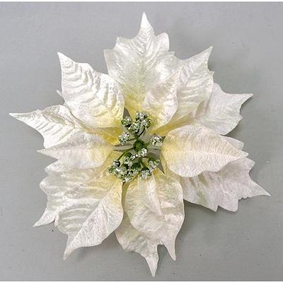Kvet Poinsettia Clipon23, krémová, 23 cm, bal. 12 ks