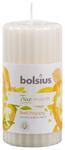 Sviecka bolsius Pillar True Moods 120/60 mm, Feel happy (mango a bergamot)