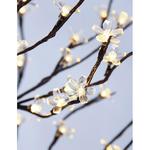 Strom MagicHome Cherry Tree, 180 cm, čierny, 230 V, IP44, exteriér
